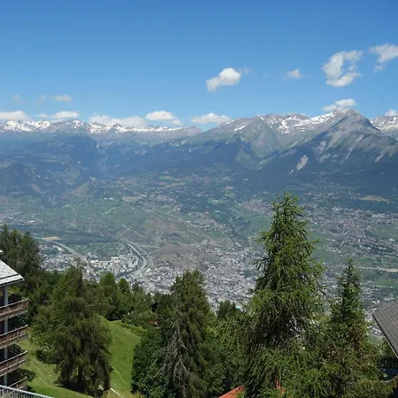 In With 베이소나츠